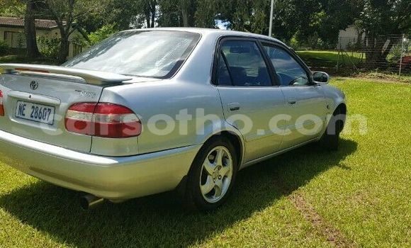 Acheter Occasion Voiture Toyota Corolla Gris à Maseru, Maseru Acheter Occasion Voiture Toyota Corolla Gris à Maseru, Maseru
