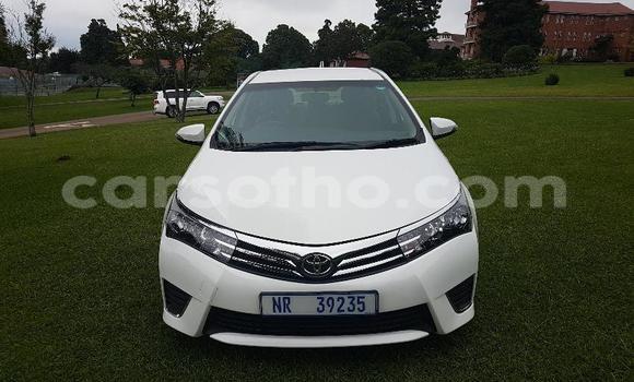 Acheter Occasion Voiture Toyota Corolla Blanc à Maseru, Maseru Acheter Occasion Voiture Toyota Corolla Blanc à Maseru, Maseru