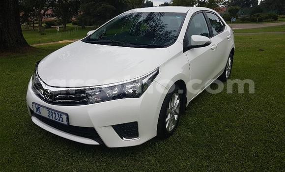 Acheter Occasion Voiture Toyota Corolla Blanc à Maseru, Maseru Acheter Occasion Voiture Toyota Corolla Blanc à Maseru, Maseru