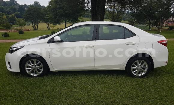 Acheter Occasion Voiture Toyota Corolla Blanc à Maseru, Maseru Acheter Occasion Voiture Toyota Corolla Blanc à Maseru, Maseru