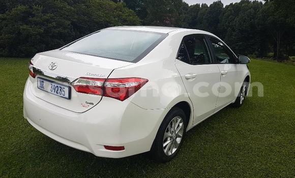 Acheter Occasion Voiture Toyota Corolla Blanc à Maseru, Maseru Acheter Occasion Voiture Toyota Corolla Blanc à Maseru, Maseru