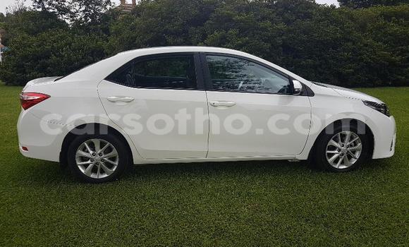 Acheter Occasion Voiture Toyota Corolla Blanc à Maseru, Maseru Acheter Occasion Voiture Toyota Corolla Blanc à Maseru, Maseru