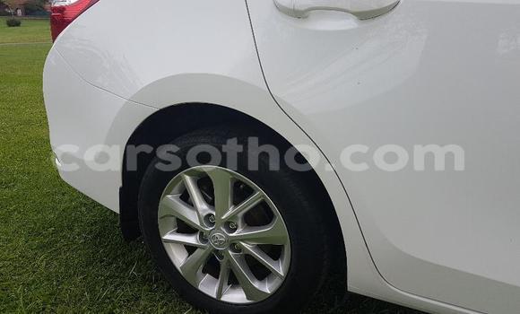 Acheter Occasion Voiture Toyota Corolla Blanc à Maseru, Maseru Acheter Occasion Voiture Toyota Corolla Blanc à Maseru, Maseru