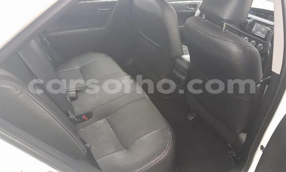 Acheter Occasion Voiture Toyota Corolla Blanc à Maseru, Maseru Acheter Occasion Voiture Toyota Corolla Blanc à Maseru, Maseru