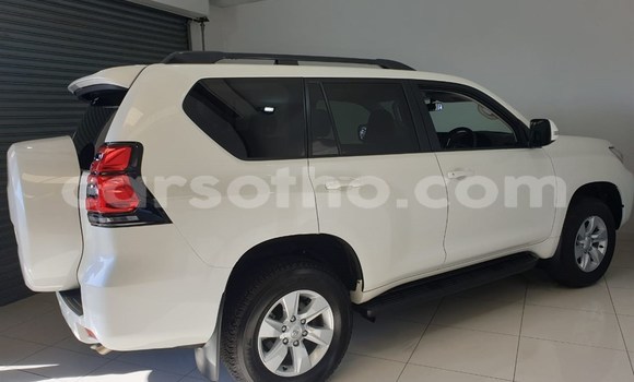 اشتري مستعمل Toyota Prado White سيارة في Mohale's Hoek في Mohale's Hoek اشتري مستعمل Toyota Prado White سيارة في Mohale's Hoek في Mohale's Hoek