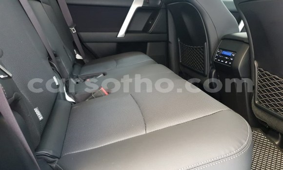 اشتري مستعمل Toyota Prado White سيارة في Mohale's Hoek في Mohale's Hoek اشتري مستعمل Toyota Prado White سيارة في Mohale's Hoek في Mohale's Hoek