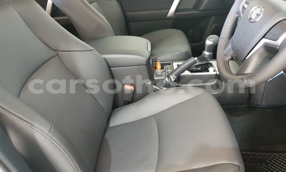 اشتري مستعمل Toyota Prado White سيارة في Mohale's Hoek في Mohale's Hoek اشتري مستعمل Toyota Prado White سيارة في Mohale's Hoek في Mohale's Hoek