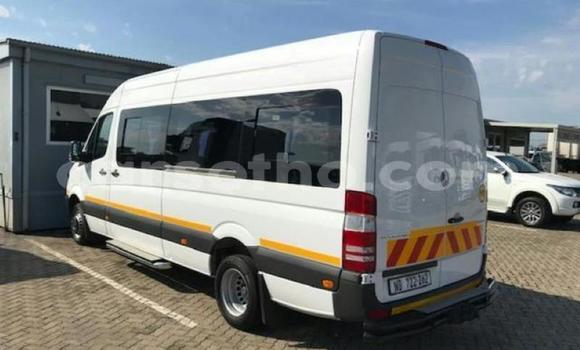 اشتري مستعمل Mercedes‒Benz Sprinter White شاحنة في Mohale's Hoek في Mohale's Hoek اشتري مستعمل Mercedes‒Benz Sprinter White شاحنة في Mohale's Hoek في Mohale's Hoek