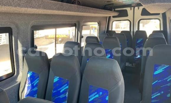 اشتري مستعمل Mercedes‒Benz Sprinter White شاحنة في Mohale's Hoek في Mohale's Hoek اشتري مستعمل Mercedes‒Benz Sprinter White شاحنة في Mohale's Hoek في Mohale's Hoek