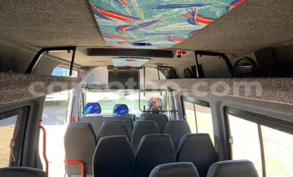 اشتري مستعمل Mercedes‒Benz Sprinter White شاحنة في Mohale's Hoek في Mohale's Hoek اشتري مستعمل Mercedes‒Benz Sprinter White شاحنة في Mohale's Hoek في Mohale's Hoek