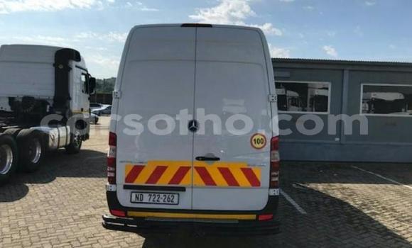 اشتري مستعمل Mercedes‒Benz Sprinter White شاحنة في Mohale's Hoek في Mohale's Hoek اشتري مستعمل Mercedes‒Benz Sprinter White شاحنة في Mohale's Hoek في Mohale's Hoek