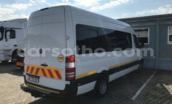 اشتري مستعمل Mercedes‒Benz Sprinter White شاحنة في Mohale's Hoek في Mohale's Hoek اشتري مستعمل Mercedes‒Benz Sprinter White شاحنة في Mohale's Hoek في Mohale's Hoek