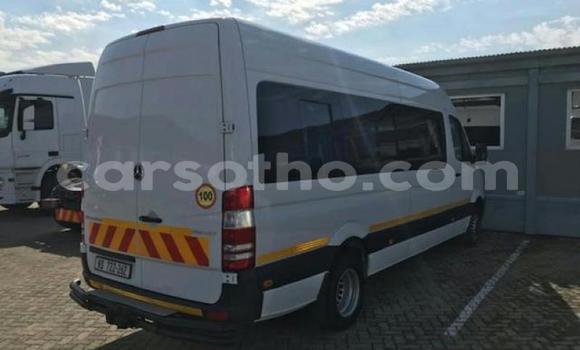 اشتري مستعمل Mercedes‒Benz Sprinter White شاحنة في Mohale's Hoek في Mohale's Hoek اشتري مستعمل Mercedes‒Benz Sprinter White شاحنة في Mohale's Hoek في Mohale's Hoek