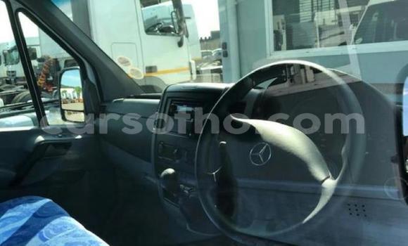 اشتري مستعمل Mercedes‒Benz Sprinter White شاحنة في Mohale's Hoek في Mohale's Hoek اشتري مستعمل Mercedes‒Benz Sprinter White شاحنة في Mohale's Hoek في Mohale's Hoek