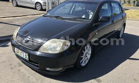 Acheter Occasion Voiture Toyota Runx Noir à Maseru, Maseru Acheter Occasion Voiture Toyota Runx Noir à Maseru, Maseru
