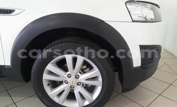 Acheter Occasion Voiture Chevrolet Captiva Blanc à Hlotse, Leribe Acheter Occasion Voiture Chevrolet Captiva Blanc à Hlotse, Leribe