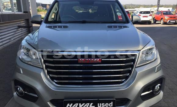 Buy Used Haval H9 Silver Car in Mohale's Hoek in Mohale's Hoek Buy Used Haval H9 Silver Car in Mohale's Hoek in Mohale's Hoek
