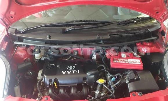 اشتري مستعمل Toyota Yaris Red سيارة في Maseru في Maseru اشتري مستعمل Toyota Yaris Red سيارة في Maseru في Maseru