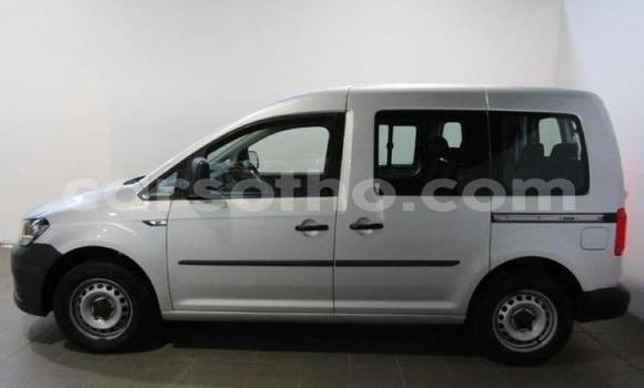 Acheter Occasion Voiture Volkswagen Caddy Gris à Maseru, Maseru Acheter Occasion Voiture Volkswagen Caddy Gris à Maseru, Maseru