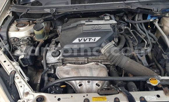 Buy Used Toyota RAV4 Silver Car in Maseru in Maseru Buy Used Toyota RAV4 Silver Car in Maseru in Maseru