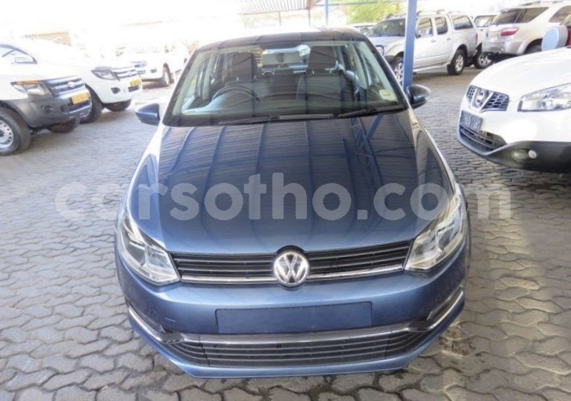 Big with watermark img 5664