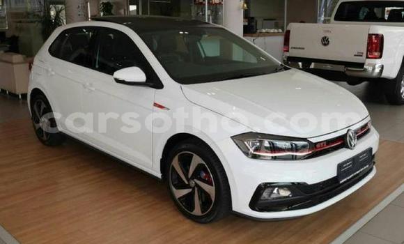 Buy Used Volkswagen Polo GTI White Car in Hlotse in Leribe Buy Used Volkswagen Polo GTI White Car in Hlotse in Leribe