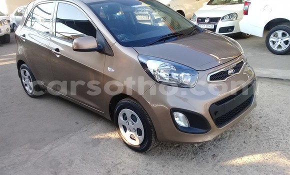 Buy Used Kia Picanto Beige Car in Maseru in Maseru Buy Used Kia Picanto Beige Car in Maseru in Maseru