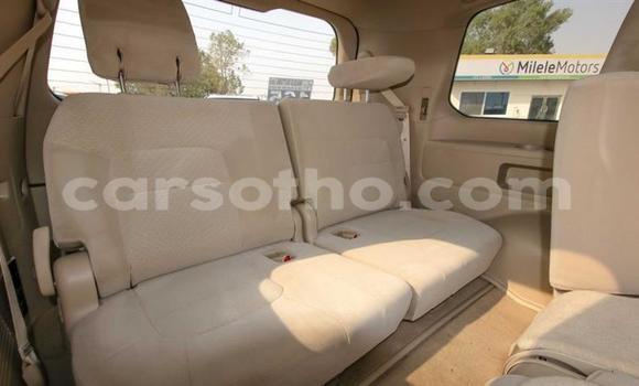 Acheter Neuf Voiture Toyota Land Cruiser Noir à Butha Buthe, Butha-Buthe Acheter Neuf Voiture Toyota Land Cruiser Noir à Butha Buthe, Butha-Buthe