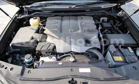 Acheter Neuf Voiture Toyota Land Cruiser Noir à Butha Buthe, Butha-Buthe Acheter Neuf Voiture Toyota Land Cruiser Noir à Butha Buthe, Butha-Buthe