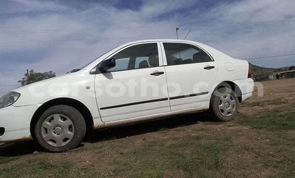 Acheter Occasion Voiture Toyota Corolla Blanc à Maseru, Maseru Acheter Occasion Voiture Toyota Corolla Blanc à Maseru, Maseru