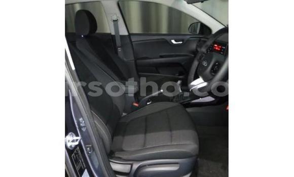 اشتري مستعمل Kia Rio Black سيارة في Maseru في Maseru اشتري مستعمل Kia Rio Black سيارة في Maseru في Maseru