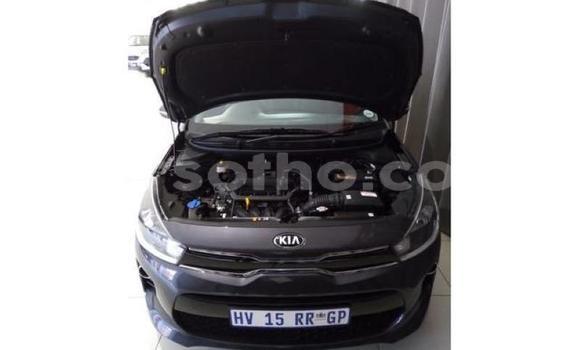 اشتري مستعمل Kia Rio Black سيارة في Maseru في Maseru اشتري مستعمل Kia Rio Black سيارة في Maseru في Maseru