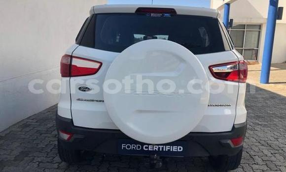 Buy Used Ford EcoSport White Car in Mohale's Hoek in Mohale's Hoek Buy Used Ford EcoSport White Car in Mohale's Hoek in Mohale's Hoek