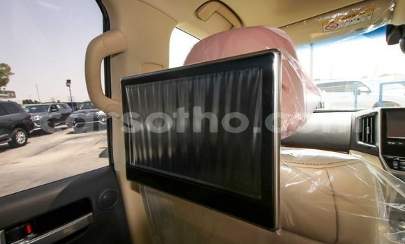 Acheter Neuf Voiture Toyota Land Cruiser Blanc à Butha–Buthe, Thaba-Tseka Acheter Neuf Voiture Toyota Land Cruiser Blanc à Butha–Buthe, Thaba-Tseka