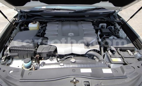 Acheter Neuf Voiture Toyota Land Cruiser Blanc à Butha–Buthe, Thaba-Tseka Acheter Neuf Voiture Toyota Land Cruiser Blanc à Butha–Buthe, Thaba-Tseka