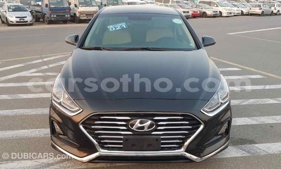 Buy Import Hyundai Sonata Black Car in Import - Dubai in Maseru Buy Import Hyundai Sonata Black Car in Import - Dubai in Maseru