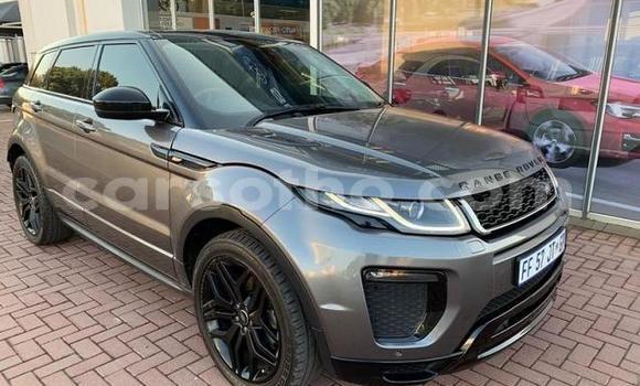 اشتري مستعمل Land Rover Range Rover Evoque Other سيارة في Maseru في Maseru اشتري مستعمل Land Rover Range Rover Evoque Other سيارة في Maseru في Maseru