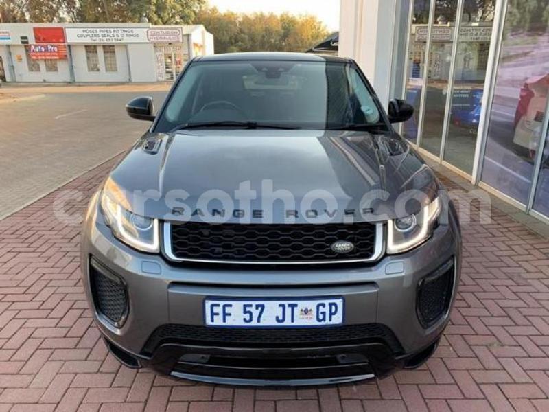 Big with watermark 2