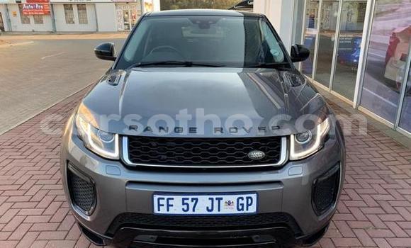 اشتري مستعمل Land Rover Range Rover Evoque Other سيارة في Maseru في Maseru اشتري مستعمل Land Rover Range Rover Evoque Other سيارة في Maseru في Maseru