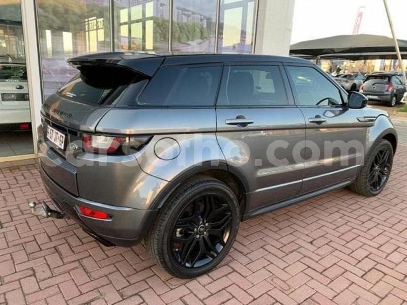 Big with watermark 4