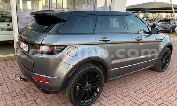 اشتري مستعمل Land Rover Range Rover Evoque Other سيارة في Maseru في Maseru اشتري مستعمل Land Rover Range Rover Evoque Other سيارة في Maseru في Maseru
