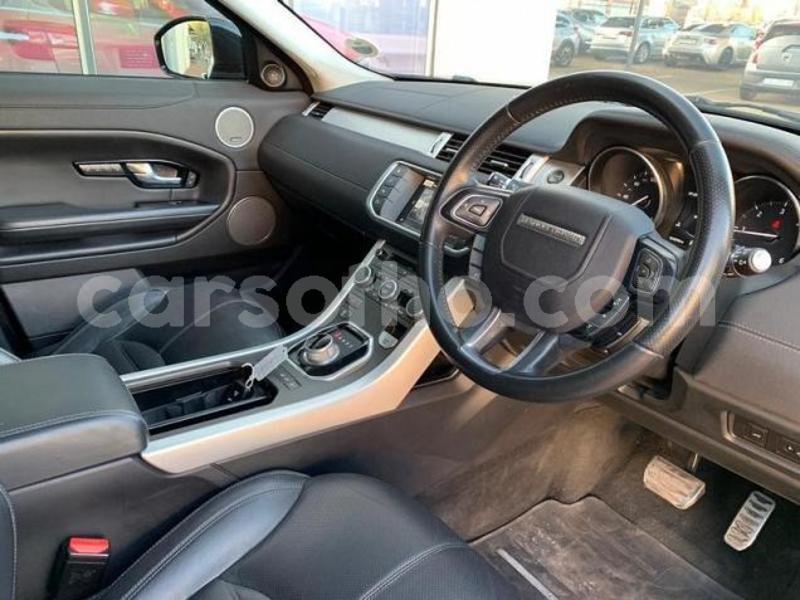 Big with watermark 5