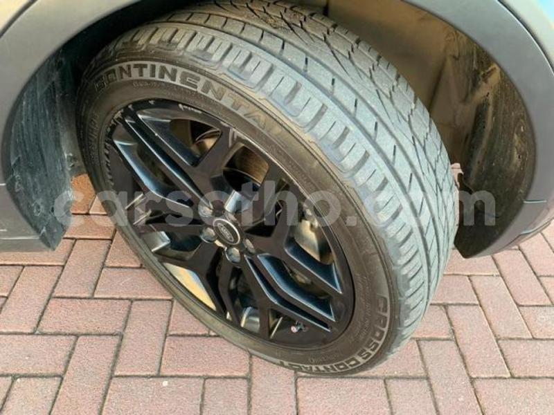 Big with watermark 6