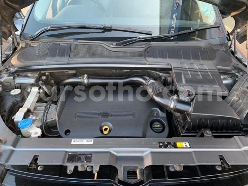 Big with watermark 7