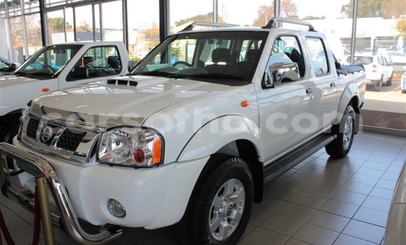 اشتري مستعمل Nissan Hardbody Other سيارة في Mohale's Hoek في Mohale's Hoek اشتري مستعمل Nissan Hardbody Other سيارة في Mohale's Hoek في Mohale's Hoek