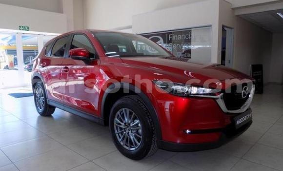 اشتري مستعمل Mazda CX-5 Red سيارة في Maseru في Maseru اشتري مستعمل Mazda CX-5 Red سيارة في Maseru في Maseru