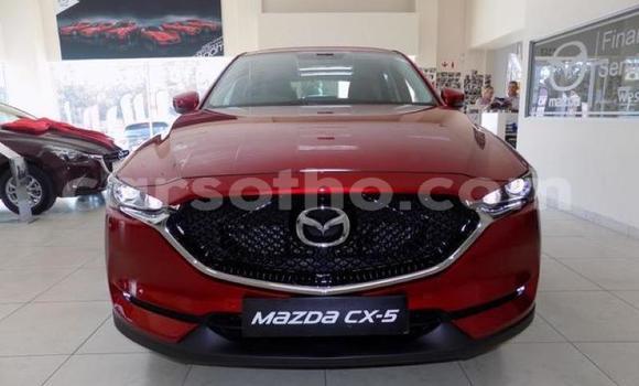 اشتري مستعمل Mazda CX-5 Red سيارة في Maseru في Maseru اشتري مستعمل Mazda CX-5 Red سيارة في Maseru في Maseru