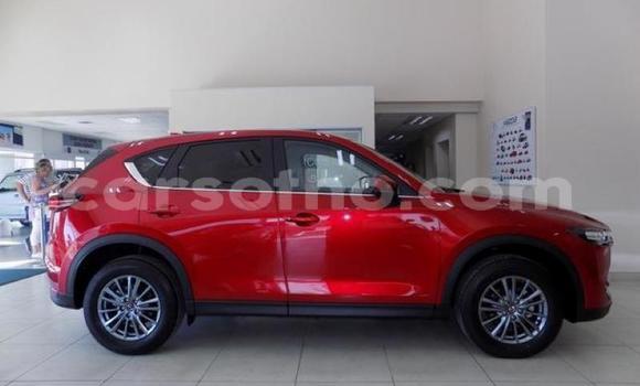 اشتري مستعمل Mazda CX-5 Red سيارة في Maseru في Maseru اشتري مستعمل Mazda CX-5 Red سيارة في Maseru في Maseru