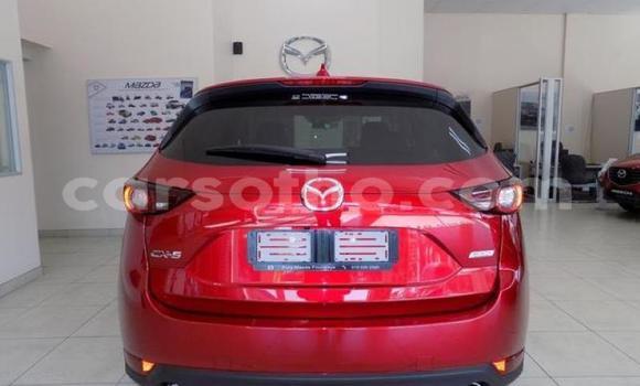 اشتري مستعمل Mazda CX-5 Red سيارة في Maseru في Maseru اشتري مستعمل Mazda CX-5 Red سيارة في Maseru في Maseru