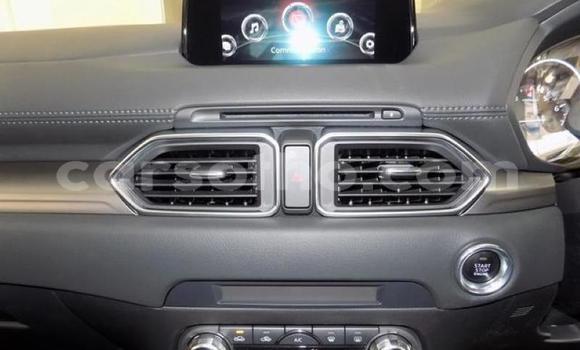اشتري مستعمل Mazda CX-5 Red سيارة في Maseru في Maseru اشتري مستعمل Mazda CX-5 Red سيارة في Maseru في Maseru